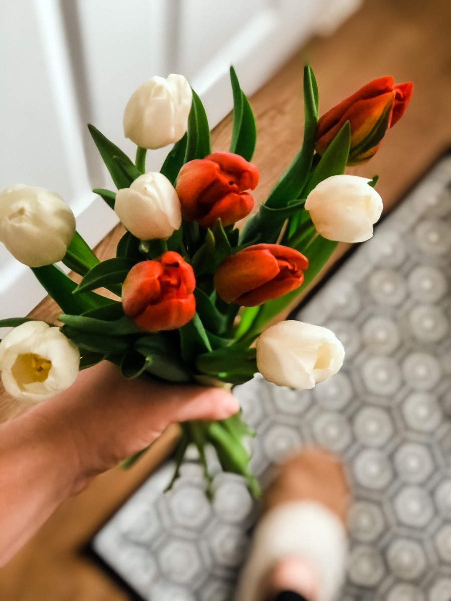 Red and white tulips from Flowers by Charlotte Davies